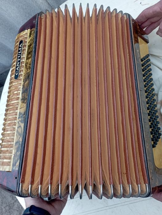 Продам акардион CANTULIA