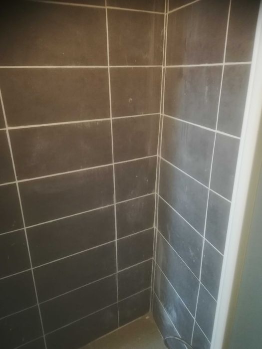 Trolha e Pintor assentamento de azulejo tijoleira e pintura