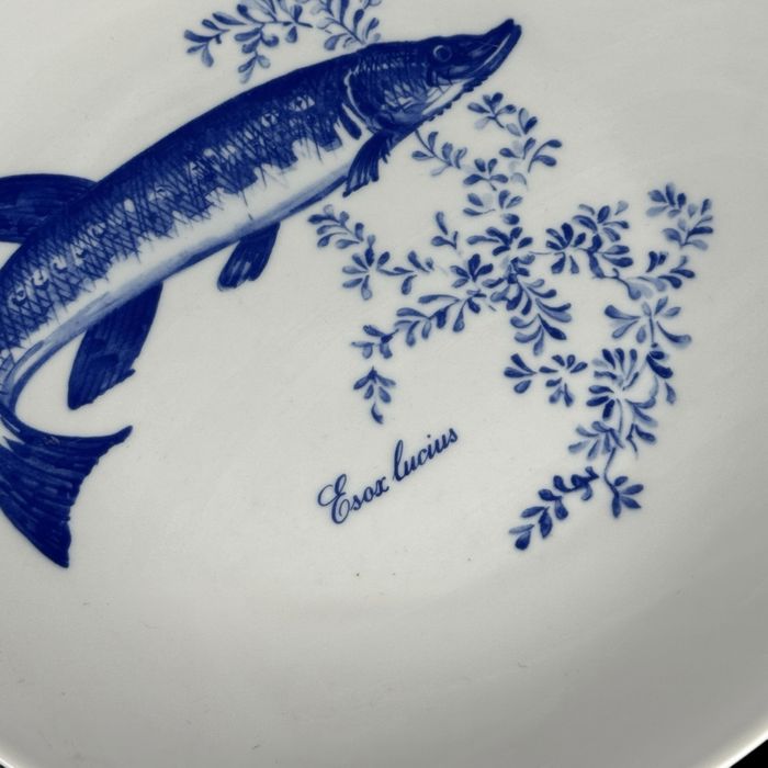 Komplet 6 talerzy obiadowych Kahla z motywami ryb b5/072131