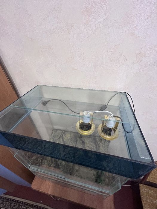 Тераріум з скла з підсвіткою(без ламп) та фоном –  для рептилій