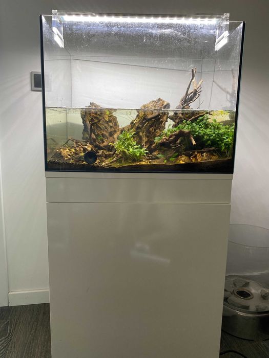 Aquário completo com acessórios