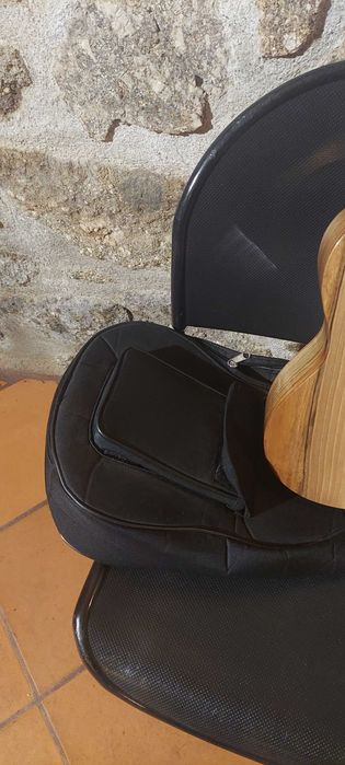 Rajao instrumento musical guitalele