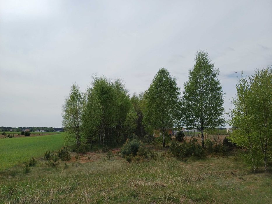 Działki budowlane w Borach Tucholskich - Okoniny Nadjeziorne