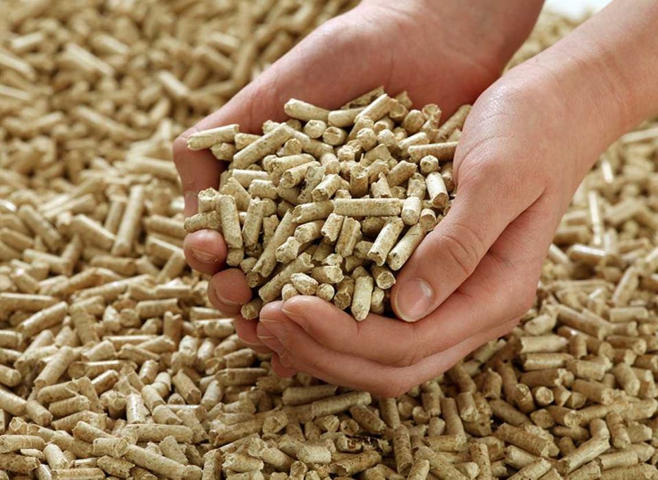 Pellets de Madeira de Qualidade