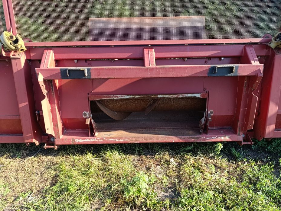 Жниварка соняшникова