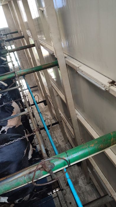 Mycie Budynków Gospodarczych! Czytaj Opis...