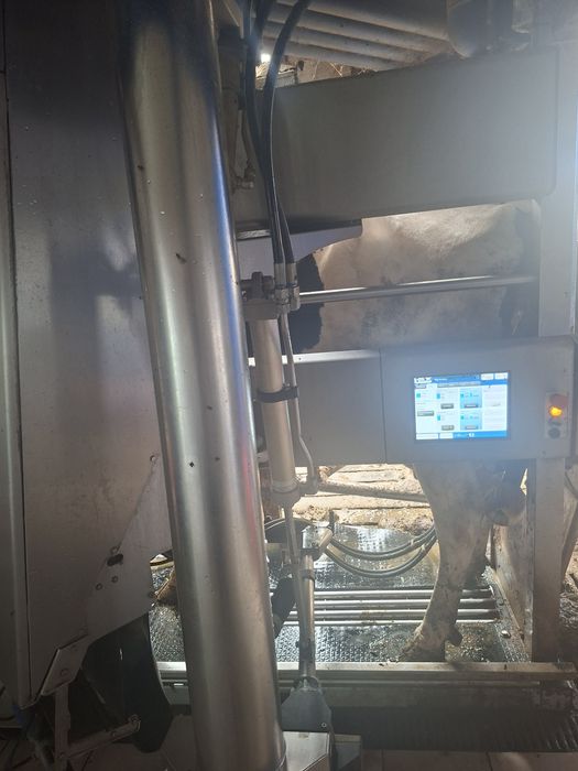 Robot udojowy Delaval VMS