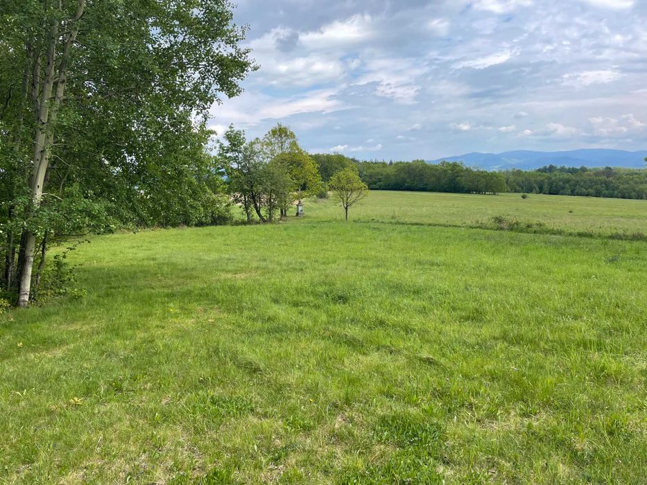 Widokowa działka budowlana z Warunkami Zabudowy - Starkówek - pod lasem - 1831 m² – 5 km od Polanicy Zdroju - z widokiem na Śnieżnik - Widok 2