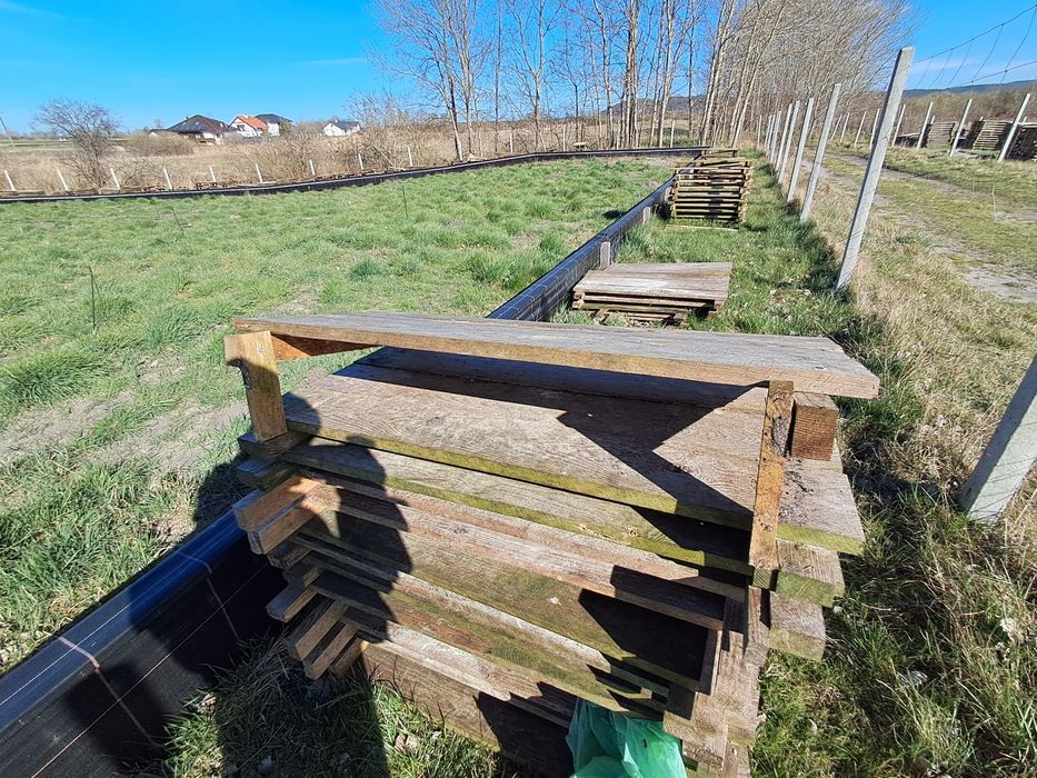 Paśnik dla ślimaków