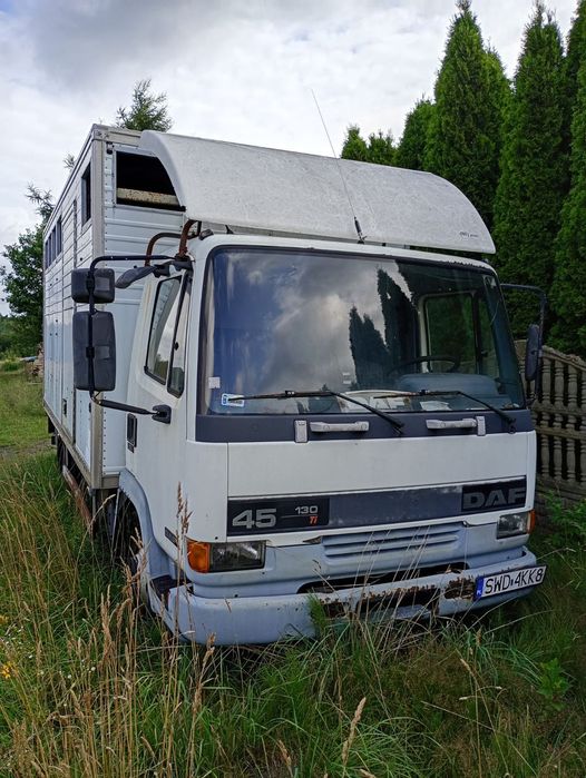 DAF