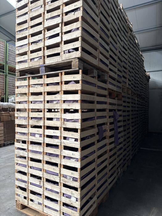 Caixas de madeira para frutas diversas ou decoracao