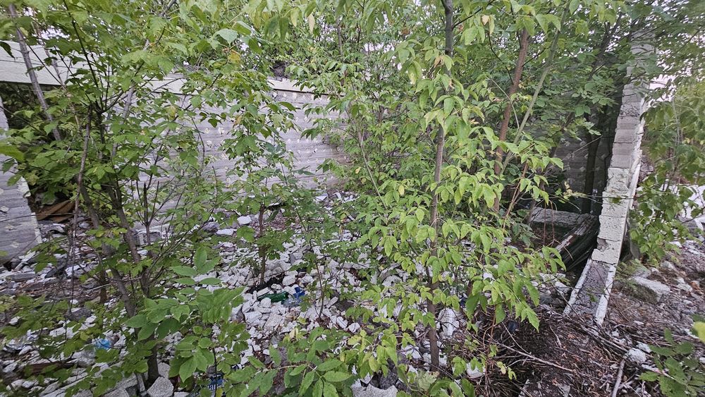 Продам земельну ділянку з фундаментом Черняхівка