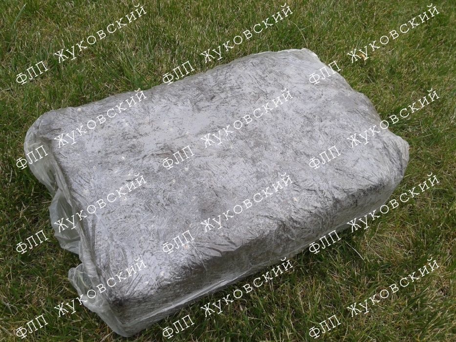 Блок королівської (коричневої) печериці Стандарт Королівский без покро