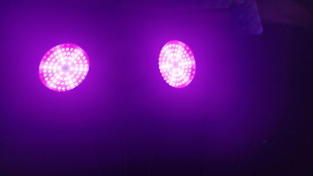 Lâmpadas LED 150W Vermelha e Azul com Regularizador - Alta Potência