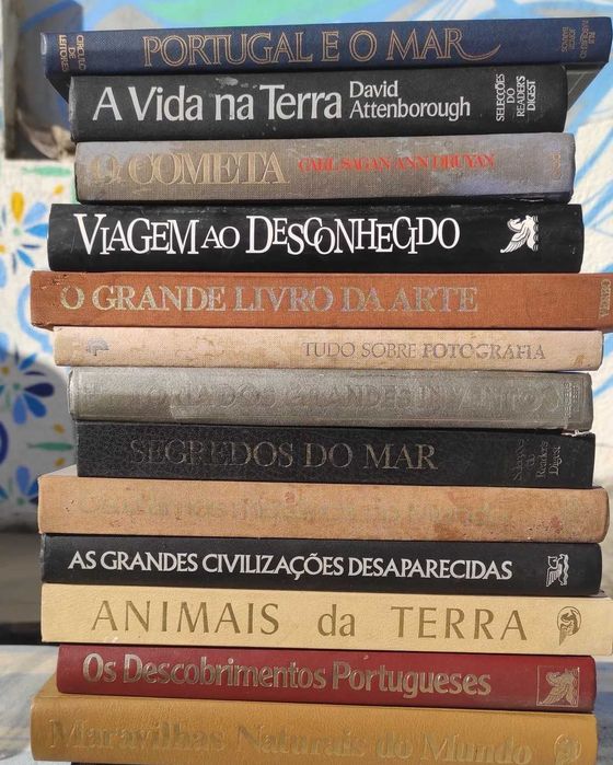 Livros Vários Pack 13