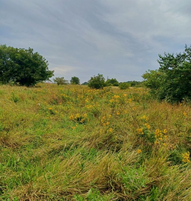 Продаж земельної ділянка на Лезнево.