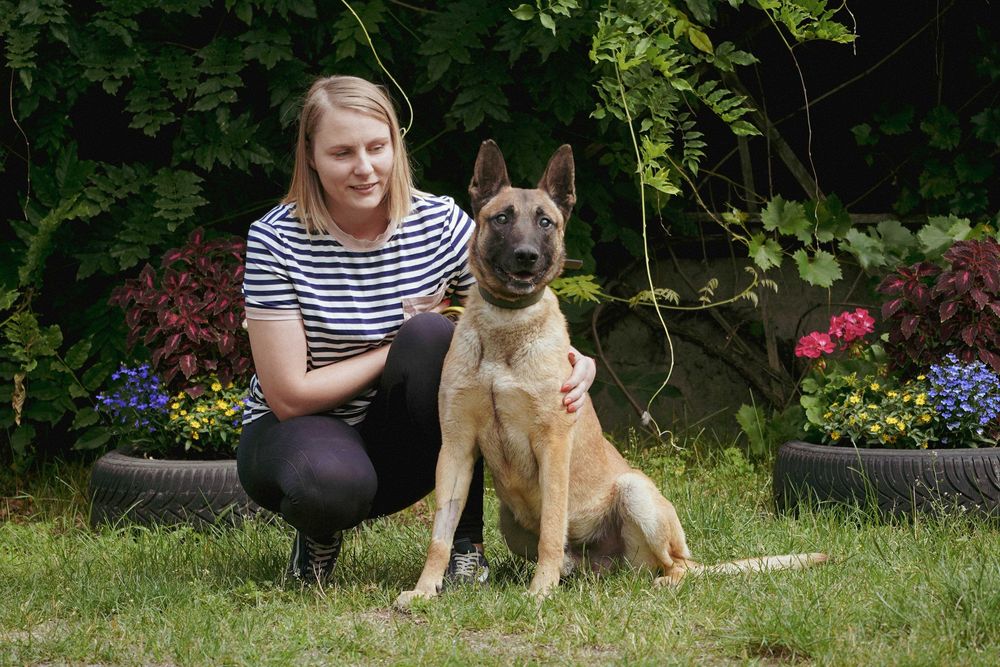 Baron - niewidomy pies szuka domu - w typie owczarek belgijski