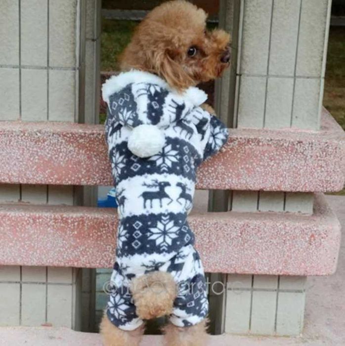 Pijama com capuz tamanho M para cães de 4 a 6 kg