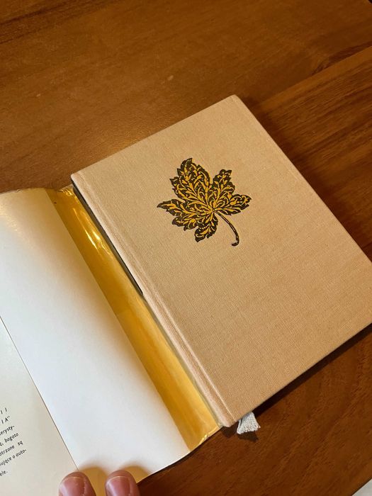 Miasto mojej matki ; Juliusz Kaden - Bandowski