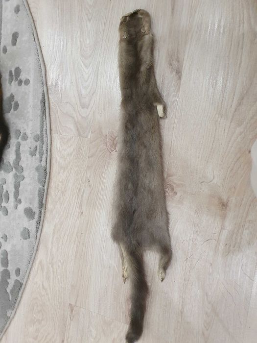 Шкурка норки серая