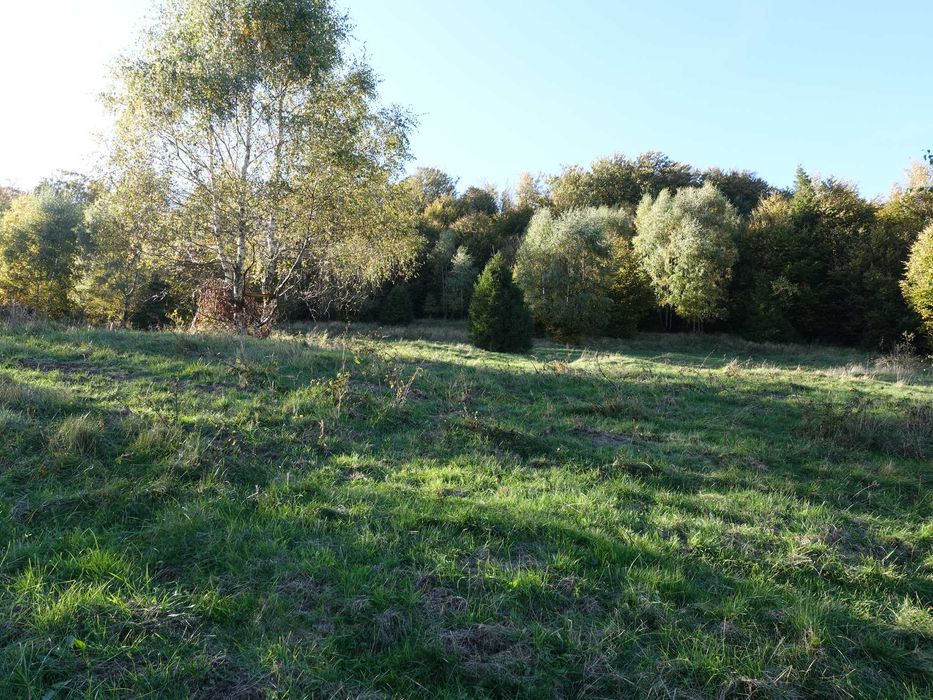 Brenna 2,53 ha z prawem zabudowy pod budynki mieszkalno pensjonatowe i domki letniskowe - Widok 4
