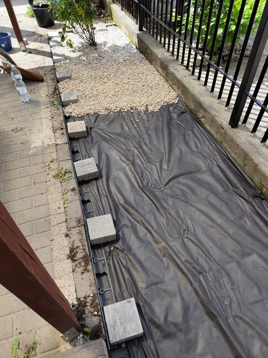 Wycinka drzew pielęgnacja