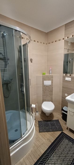 Mieszkanie do wynajęcia