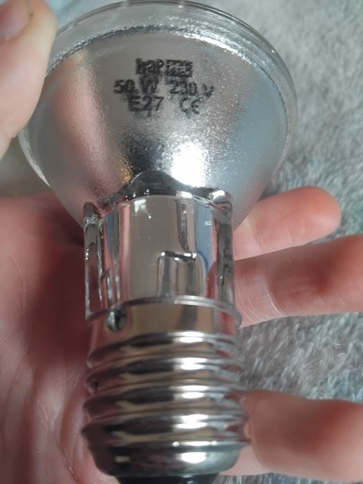 Dzienna żarówka halogenowa 50W 

do terrarium