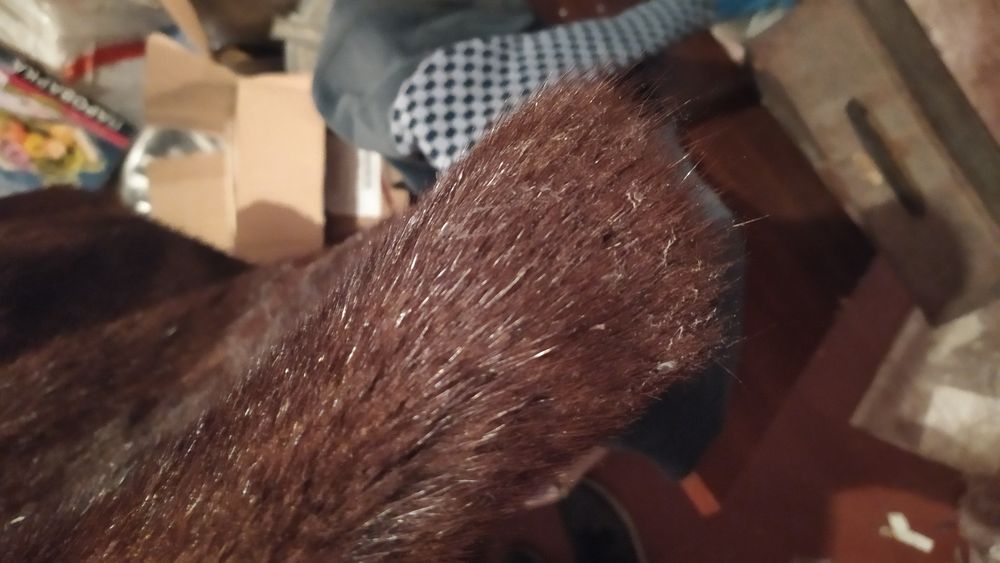 Норковая шуба натуральная