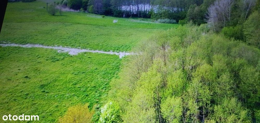 Działki w bliskiej okolicy Stargardu