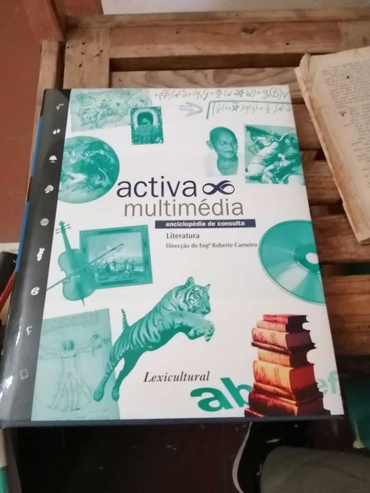 livro enciclopedia de consulta literatura