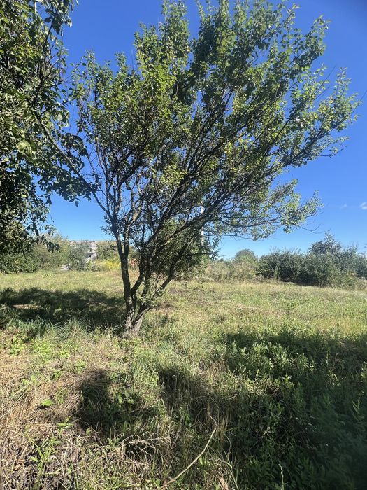 Продаж земельної ділянки