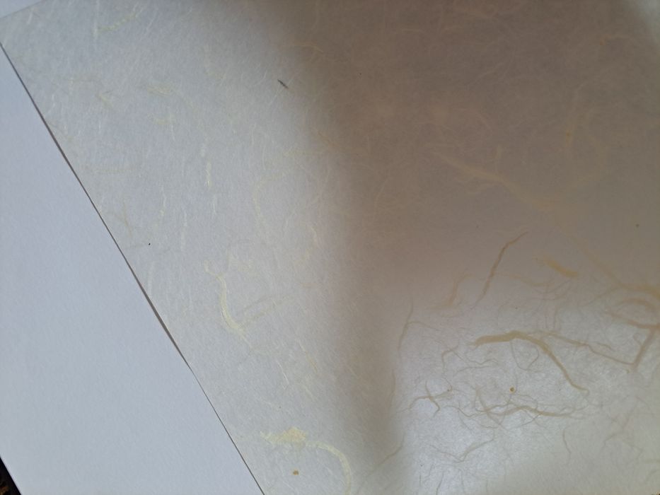 Album na zdjecia wklejane 23x31 cm, 20 kartek