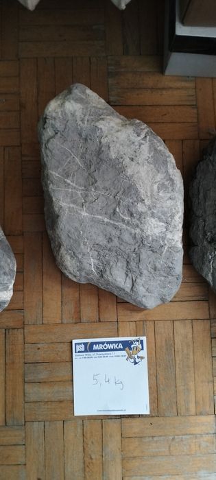 Kamienie czarne z białymi żyłami