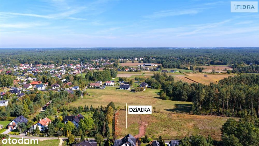 Tam, gdzie śpiewają ptaki