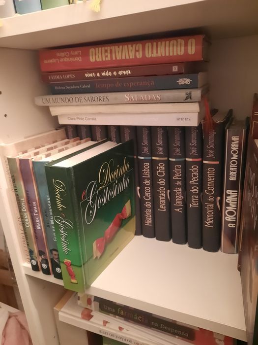 Lote de vários livros