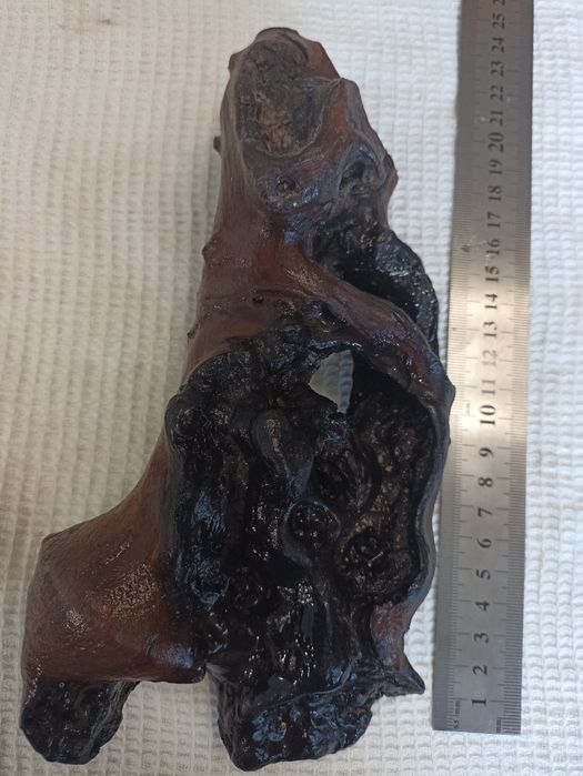 Коряги дуже гарні  для акваріума або для тераріума 2шт 250гр одна .