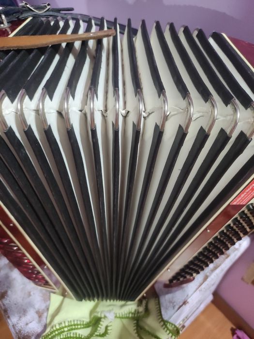 Acordeon bom preço.