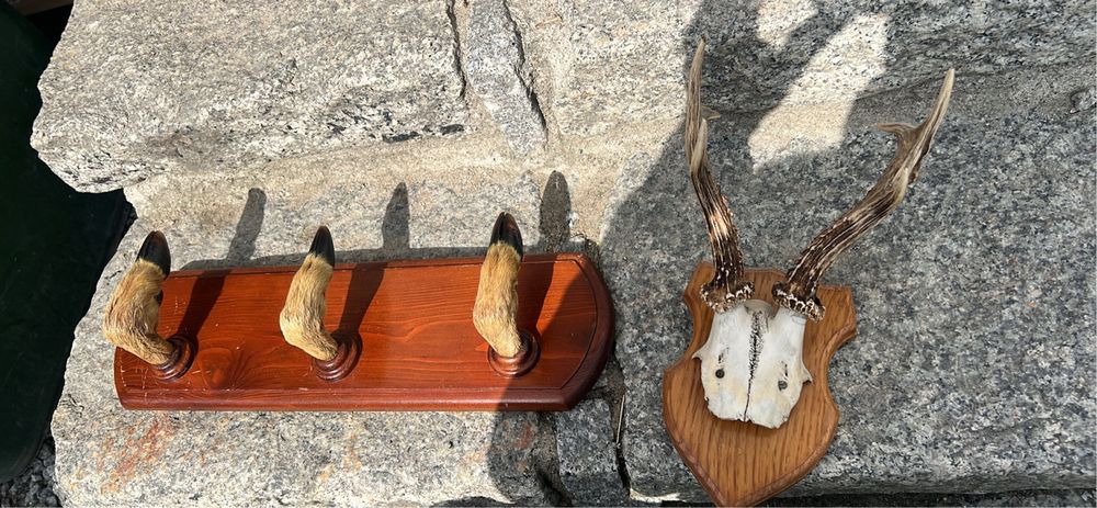 Rogi i wieszak po dziadku