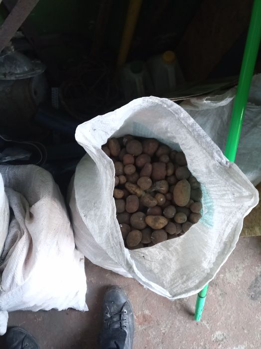 Продам мелкую картошку