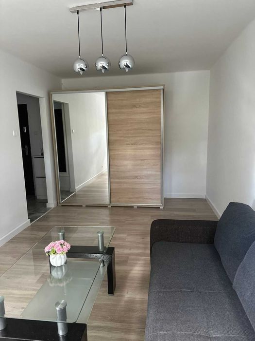 Mieszkanie do wynajęcia. 2-pokojowe w centrum Lubina – parter, świetna lokalizacja, gotowe do zamieszkania! - Widok 5
