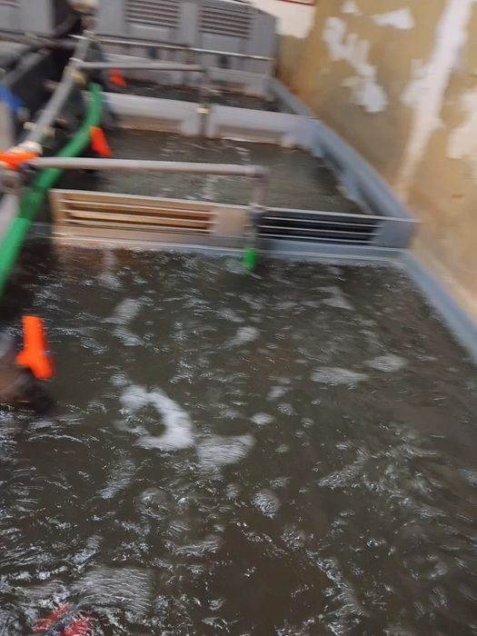 Vendo tanques de viveiro em PVC. Atenção ,ver descrição.completos