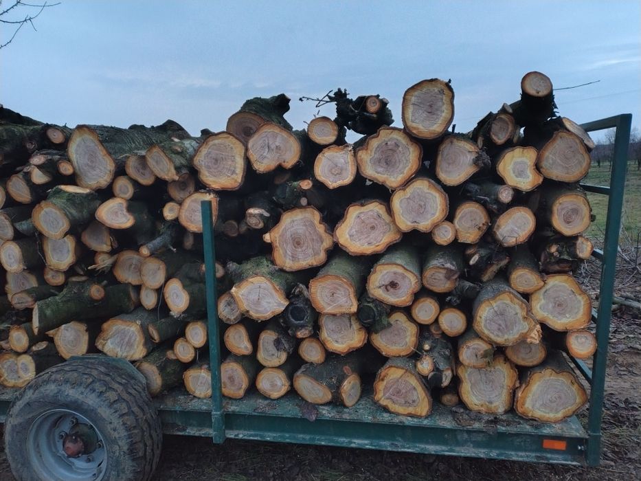 Sprzedam drewno opałowe, jabłoniowe