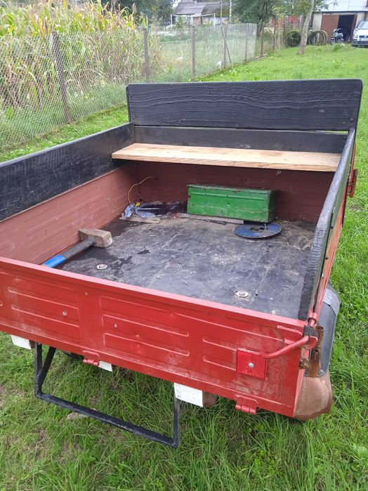 Муравей  з документами все перебране