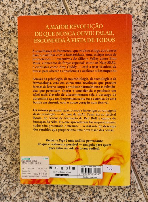 Livro "Roubar o fogo"