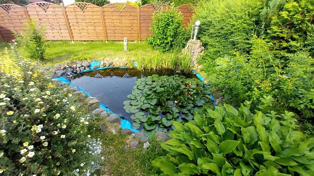 Sprzedam działkę ROD  w Ķórnik - Bnin