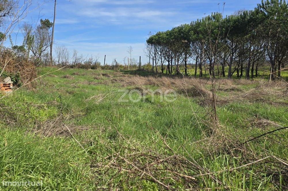 Terreno em Nelas para construção com projeto