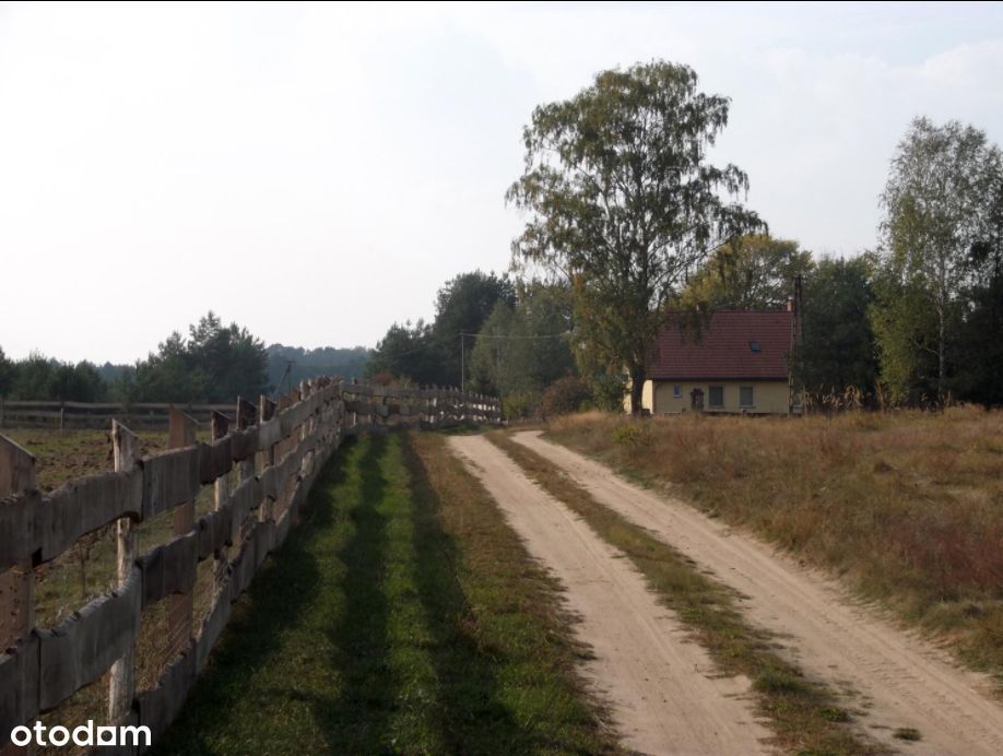 Zdjęcie 5
