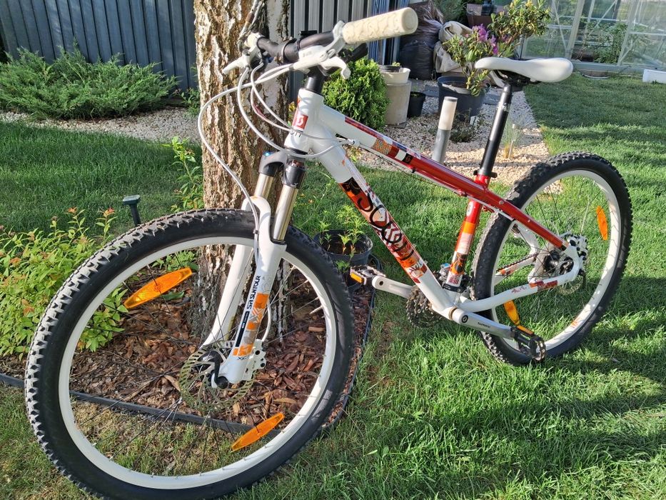 Scott contessa 30