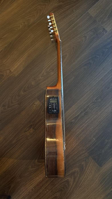 Viola caipira 10 cordas Rozini